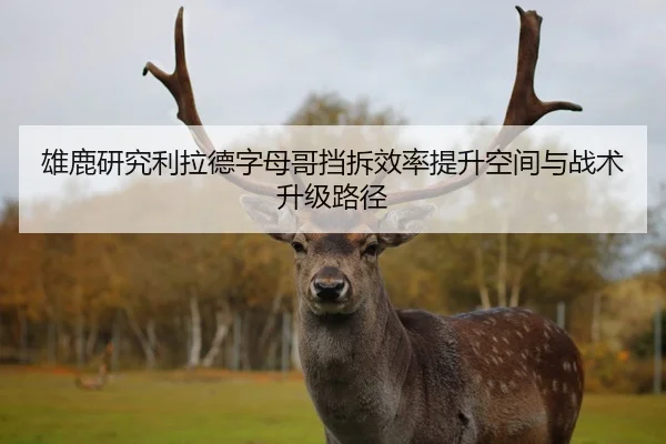 雄鹿研究利拉德字母哥挡拆效率提升空间与战术升级路径