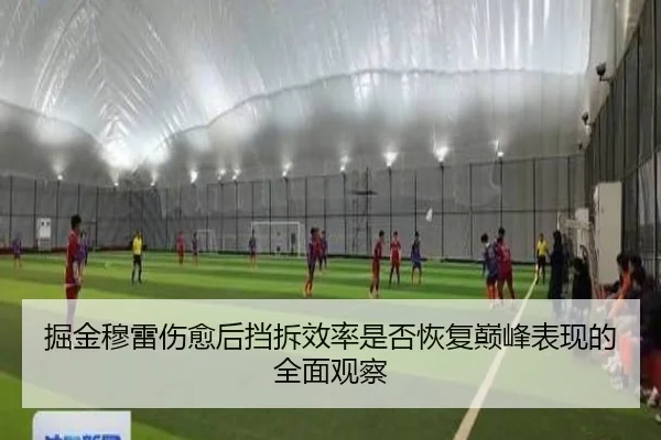 掘金穆雷伤愈后挡拆效率是否恢复巅峰表现的全面观察