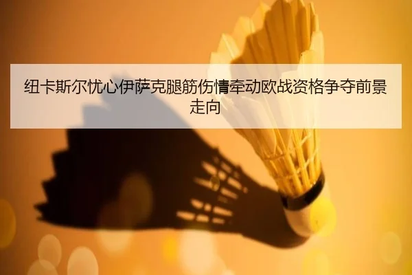 纽卡斯尔忧心伊萨克腿筋伤情牵动欧战资格争夺前景走向